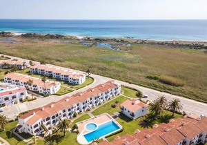 Girasol Garden Superior 2