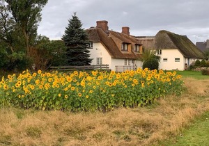 Hansen Hof, Wohnung 3