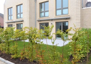 Haus "friesland 8", Am Alten Deich 42