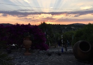 Holiday house Son Macià for 1 - 2 persons with 1 bedroom - Holiday house
