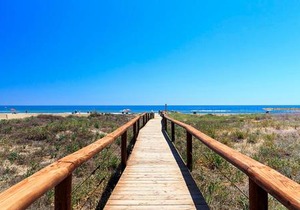 Irtaplaya 311