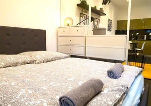 Loft House Apartment with Luxury Bathroom and private parking