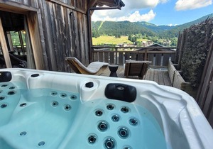 Luxury chalet with jacuzzi, sauna, parking and WIFI in Les Gets