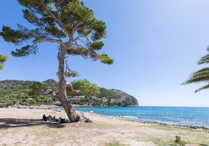Oro Del Mar Bloque D 2º A