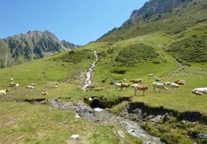 Résidence Mer & Golf Tourmalet