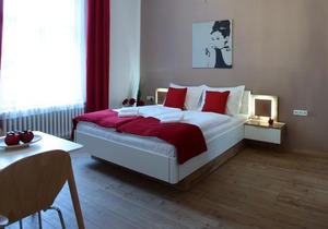 Smeralova apartments 409