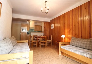 Spacious apartment 5 ppl with balcony and wifi in Lanslebourg