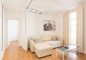 Urbe10 Plaza de la Constitucion 1 Bedroom Apartment
