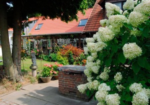 Vacation apartment/apartment for 4 guests with 45m² in Goosefeld (2356)