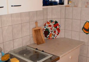 Vacation apartment/apartment for 2 guests with 35m² in Goosefeld (2354)