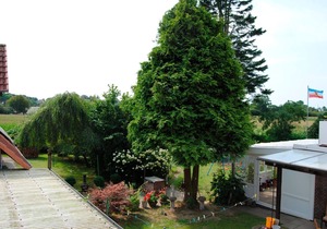 Vacation apartment/apartment for 3 guests with 45m² in Goosefeld (2355)
