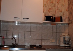 Vacation apartment/apartment for 3 guests with 35m² in Goosefeld (2357)