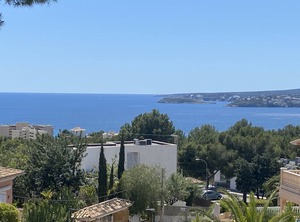 Puerto Portals | Portals Nous