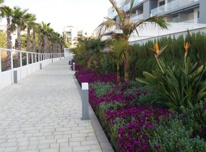 Apartamento Primera Línea De Playa | Torrox Costa
