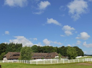 Horse Rally Ralswiek | Ralswiek