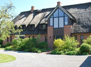 Thatch | Westerhever