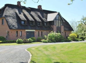 Thatch | Westerhever