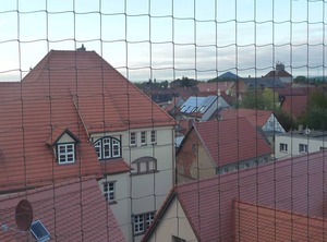 Dz Blesse Allstedt | Allstedt