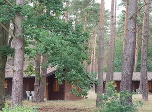 Cottage The Middle Of Forest | Colbitz