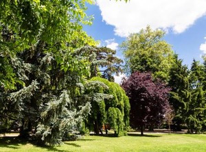 Domaine Clairefontaine | Chonas-l'Amballan