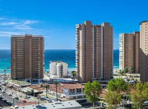 Don Paco | Benidorm