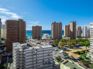 Don Paco | Benidorm