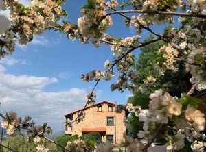 La Seguirilla Del Jerte | Casas del Castanar