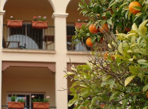 Carabeo | Nerja City Centre