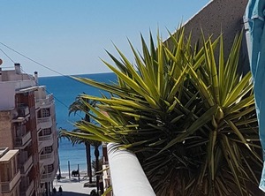 Owner Solidarity Reduction Of Prices | Torrevieja