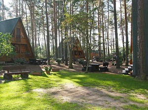 Nepumuk | Arendsee