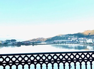 Marina Sol Te Hará Soñar | Viveiro