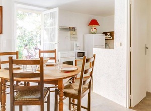 Mimosas | Bormes-Les-Mimosas