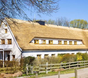 Höfthus 