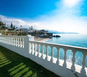 Palmeras 
