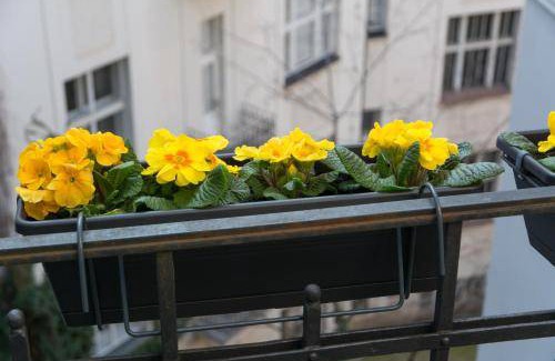 Stare Mesto Apartment | 100 m² Apartment ∙ 2 bedrooms ∙ 7 guests