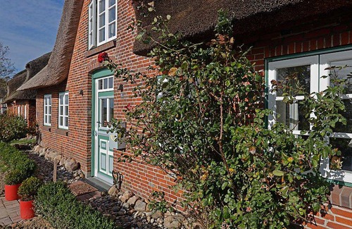 Ostersiel House | 135 m² House ∙ 3 bedrooms ∙ 5 guests