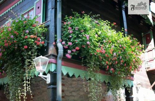 Dessau-Rosslau Bed & Breakfast | 16 m² Bed and breakfast ∙ 4 guests