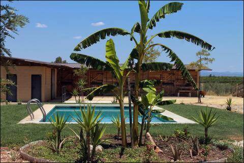 Fuente Palmera Bed & Breakfast | 30 m² Bed and breakfast ∙ 4 guests