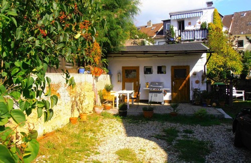 Johannisberg Apartment | 50 m² Apartment ∙ 1 bedroom ∙ 3 guests
