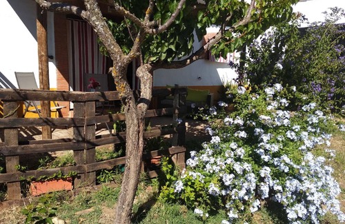 Alcuescar Apartment | 50 m² Apartment ∙ 2 guests