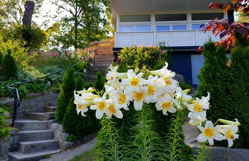 Stechow-Ferchesar House | 52 m² House ∙ 1 bedroom ∙ 2 guests