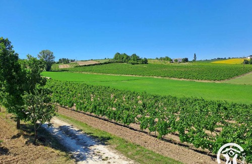 Cahuzac-sur-Vere House | 60 m² Gîte ∙ 2 bedrooms ∙ 4 guests