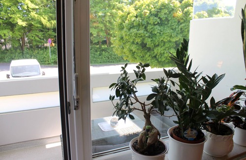 Groemitz Apartment | Apartment/apartment for 2 guests with 55m² in Grömitz (20828)