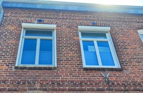 Eckernfoerde Apartment | Apartment/app. for 2 guests with 55m² in Eckernförde (95331)