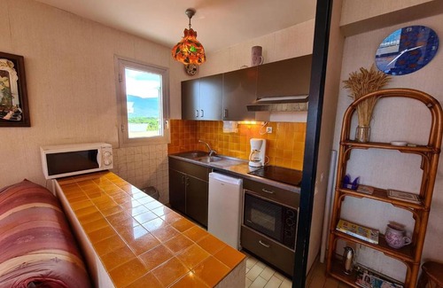 Argeles Plage Apartment | Appartement Argelès-sur-Mer, 2 pièces, 4 personnes - FR-1-388-143
