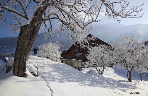 Valmorel Ski Chalet | Beautiful duplex apartment in a chalet with shared sauna, 300m from the slopes
