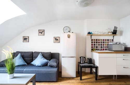 Prague 1 Apartment | Certovka Apart OLD TOWN