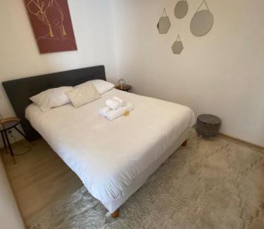 Miplaine Apartment | Cozy atmosphere 4pers near Eurexpo GroupamaStadium