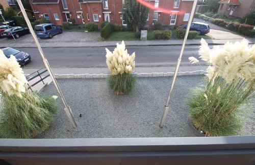 Dahme Apartment | Dune Residence Apartment 2