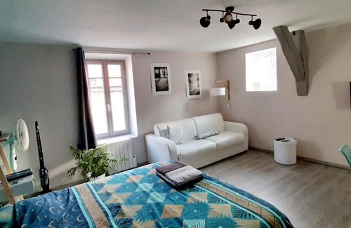 Dijon Centre Ville Apartment | Le Pompon'ing, appartement coeur de ville